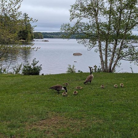 Alamoosook Lakeside Inn Orland Εξωτερικό φωτογραφία